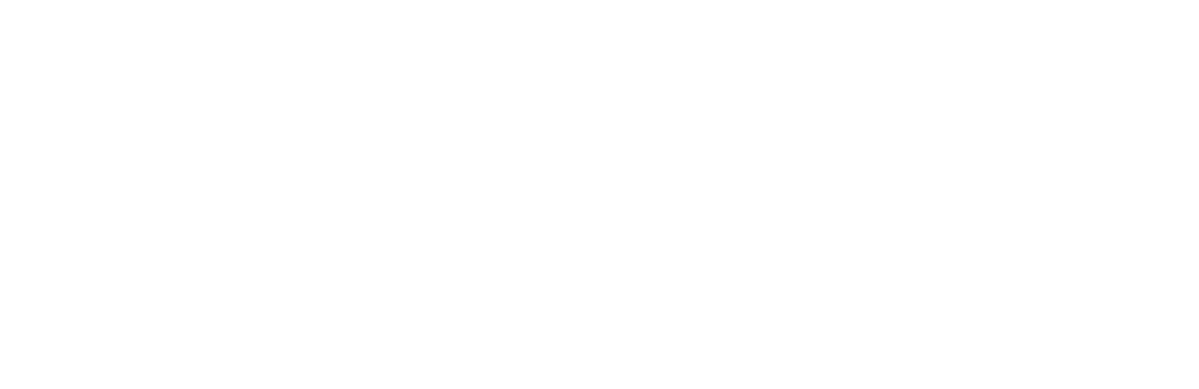 reset_energy_logo_white (1)